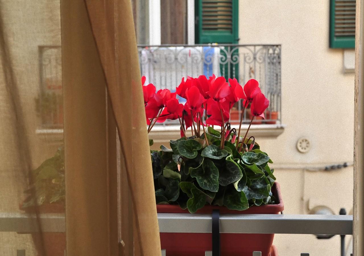 B&B Donna Eleonora Matera Exterior foto
